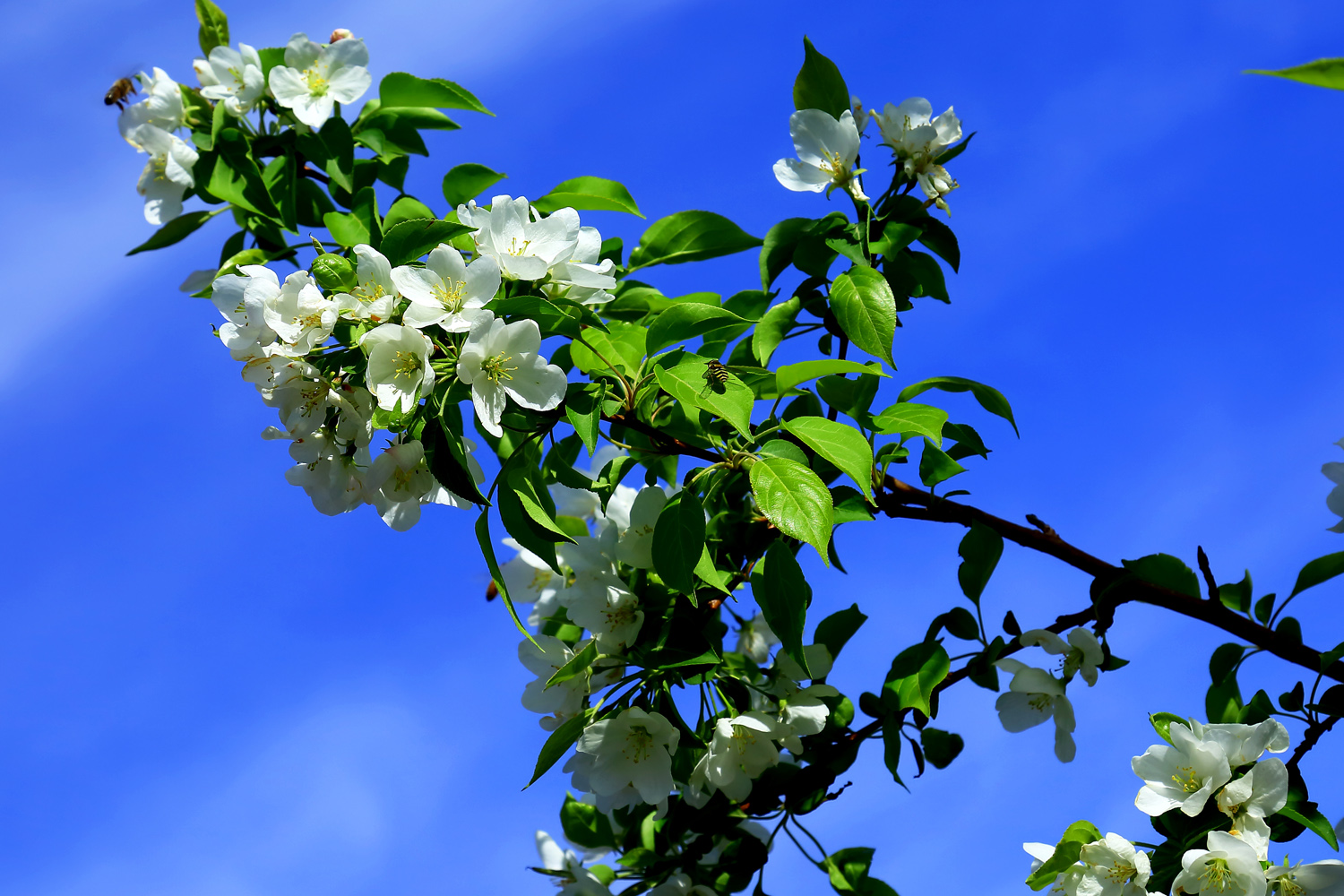 �߳Ǵ���- (3).jpg