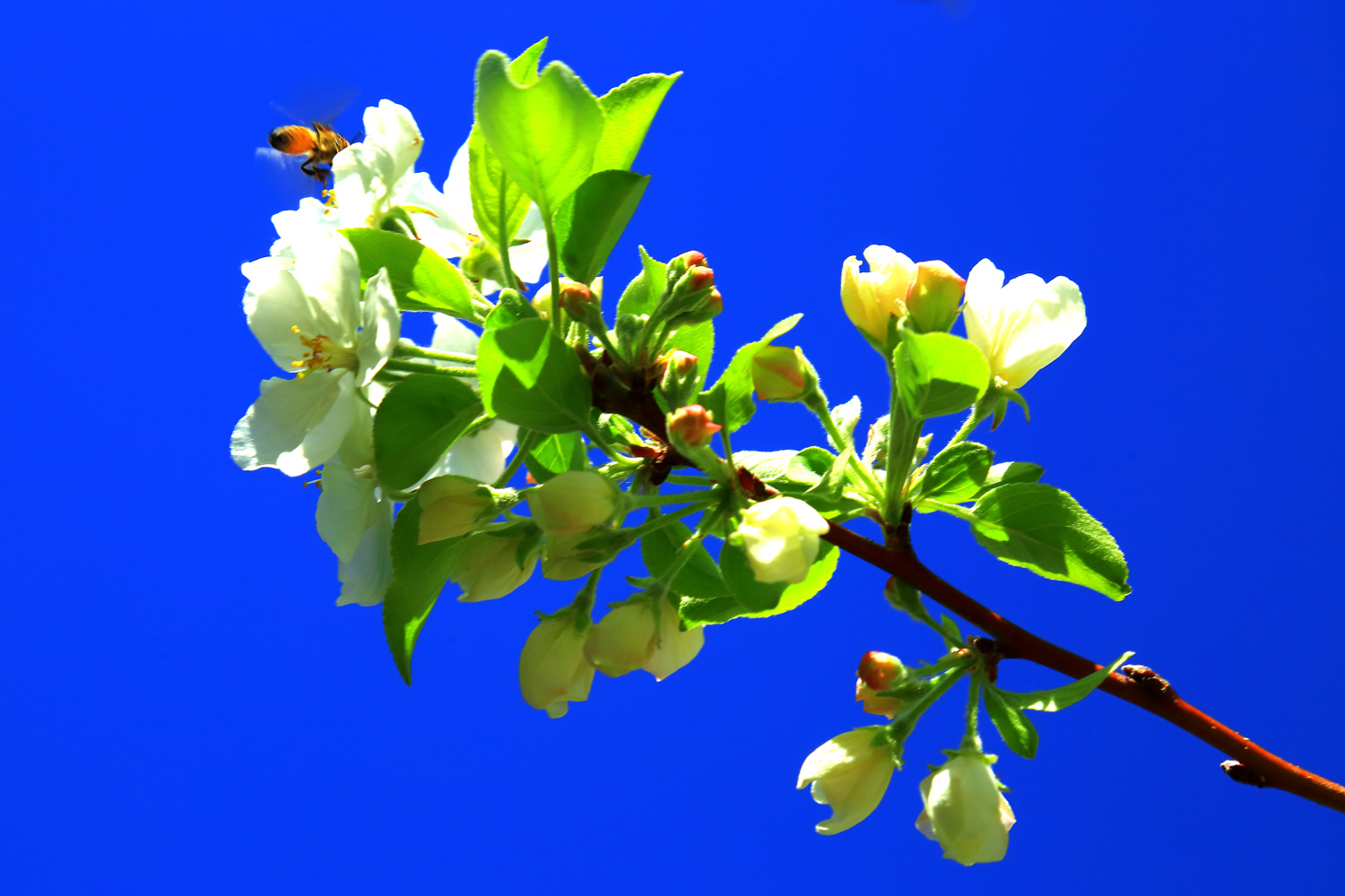 �߳Ǵ���- (5).jpg