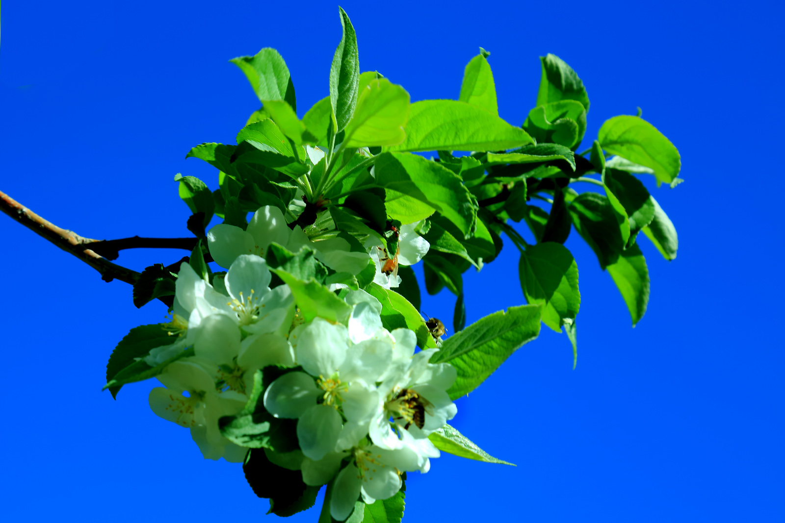 �߳Ǵ���- (7).jpg