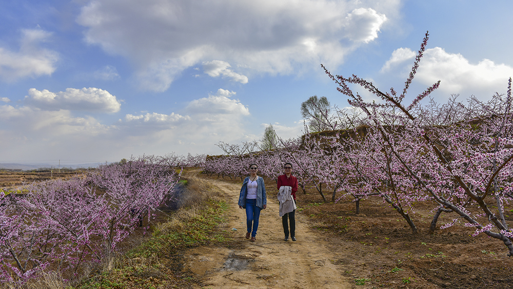 2015��4��21���������ɺ���2 a0411.jpg