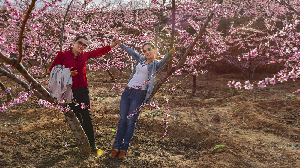 2015��4��21���������ɺ���2 a0861.jpg