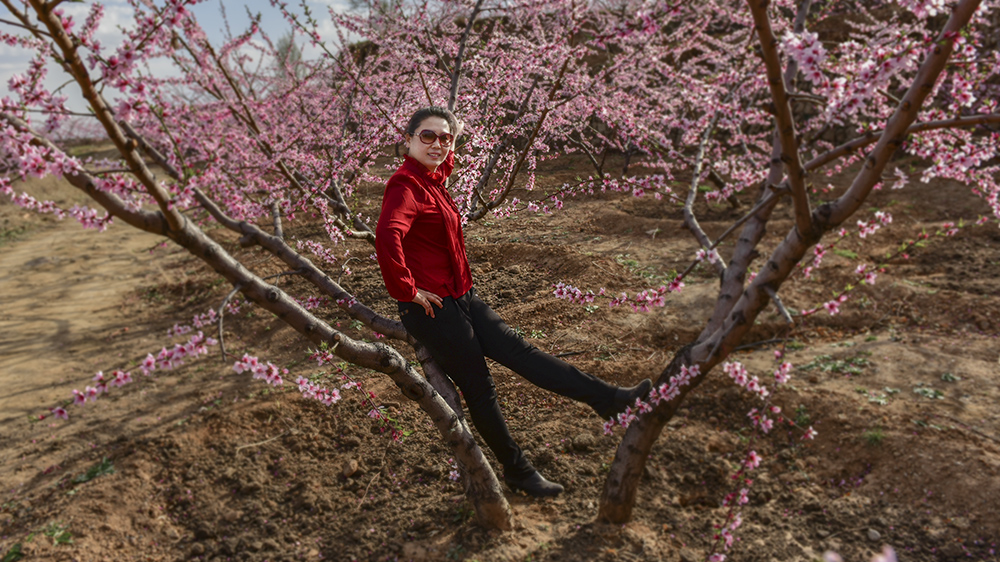 2015��4��21���������ɺ���2 a0911.jpg