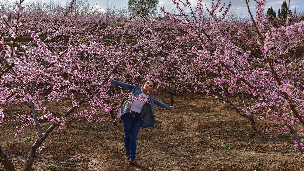 2015��4��21���������ɺ���2 a0351.jpg