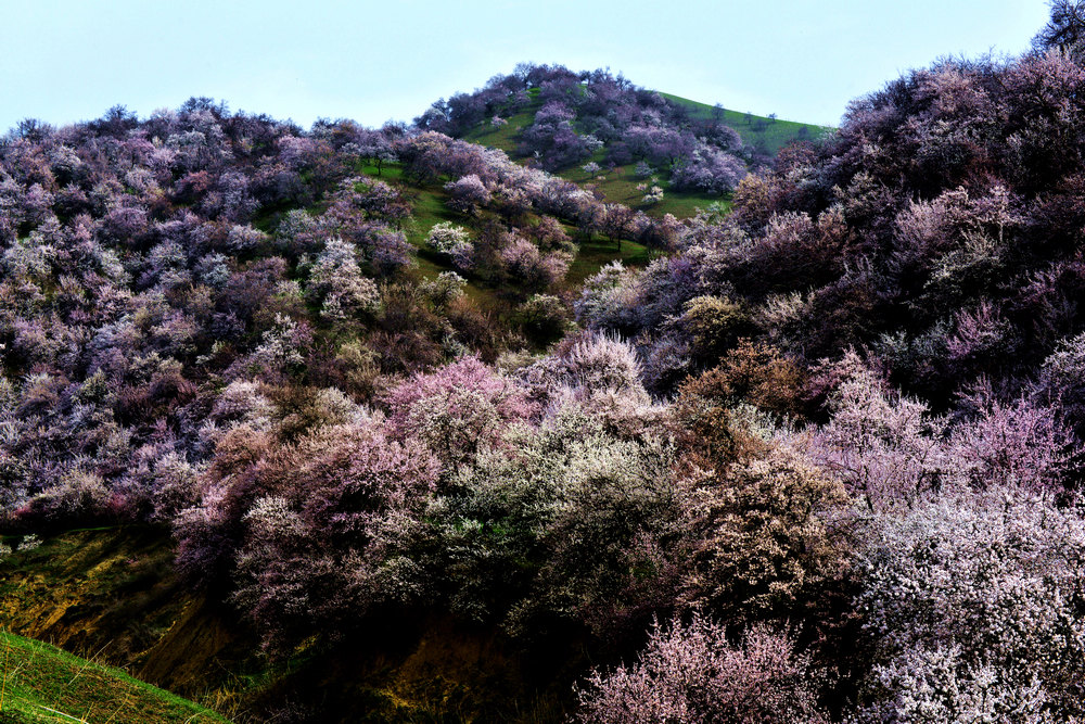 nEO_IMG_�ӻ�����������          ���ٺ� (1).jpg