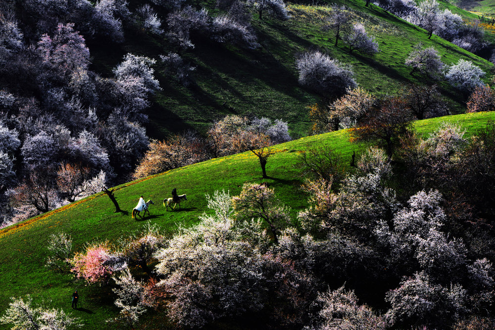 nEO_IMG_�ӻ�����������          ���ٺ� (2).jpg