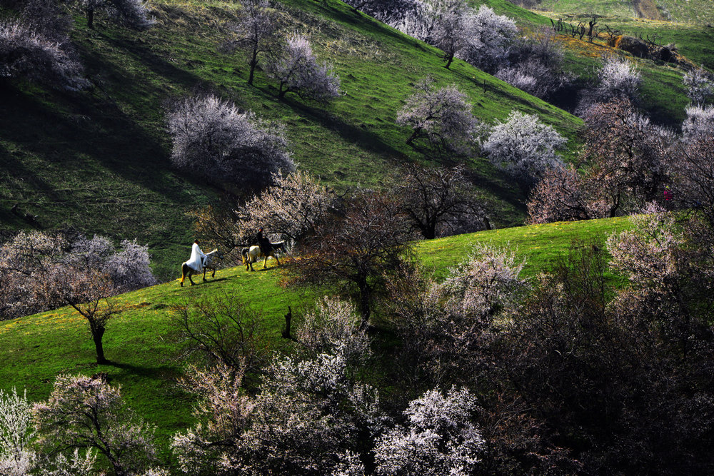 nEO_IMG_�ӻ�����������          ���ٺ� (4).jpg