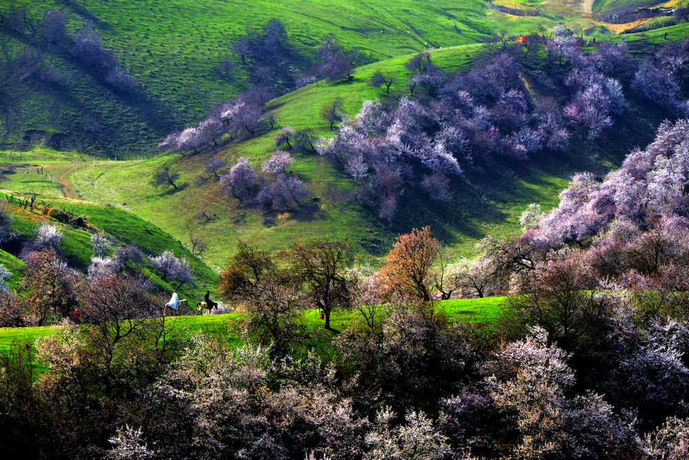 nEO_IMG_�ӻ�����������          ���ٺ� (5).jpg