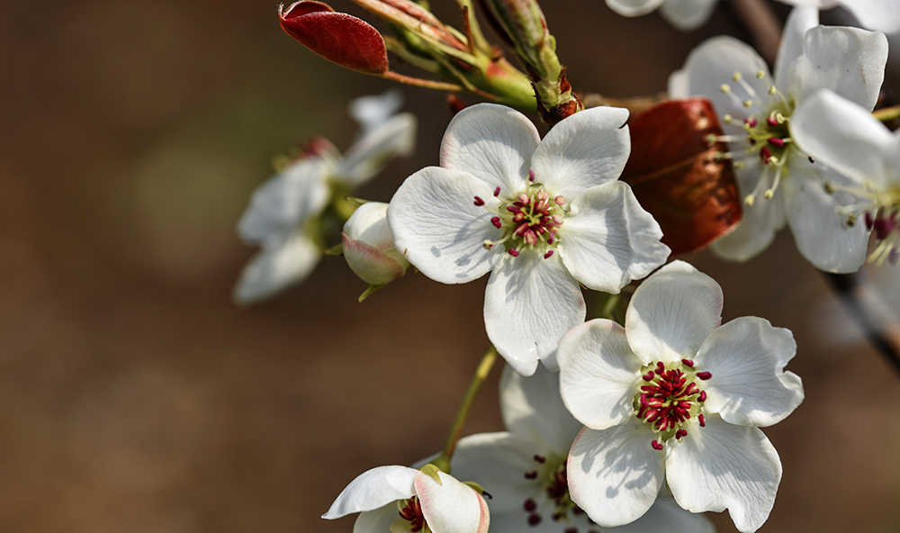 2015��4��9�պӱ����� a1591.jpg