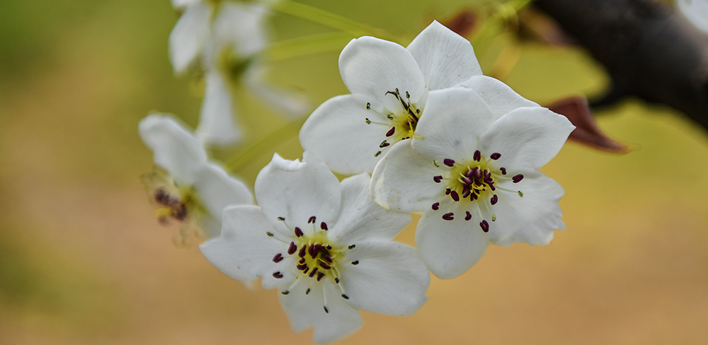 2015��4��9�պӱ����� a0961.jpg