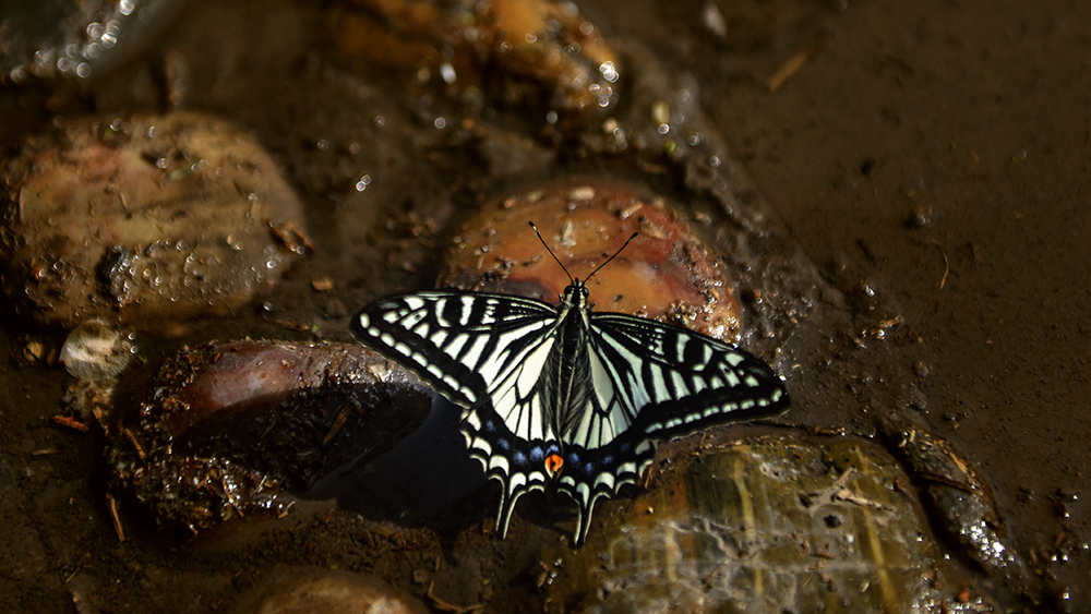 2015��4��30��̫ԭ��԰ a0741.jpg