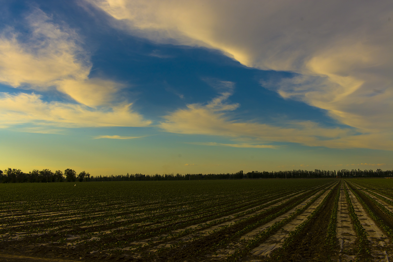 �ִ�������ũ������