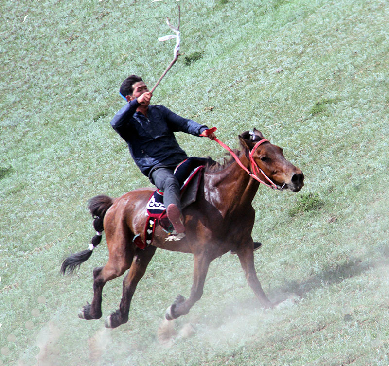 ʤ������