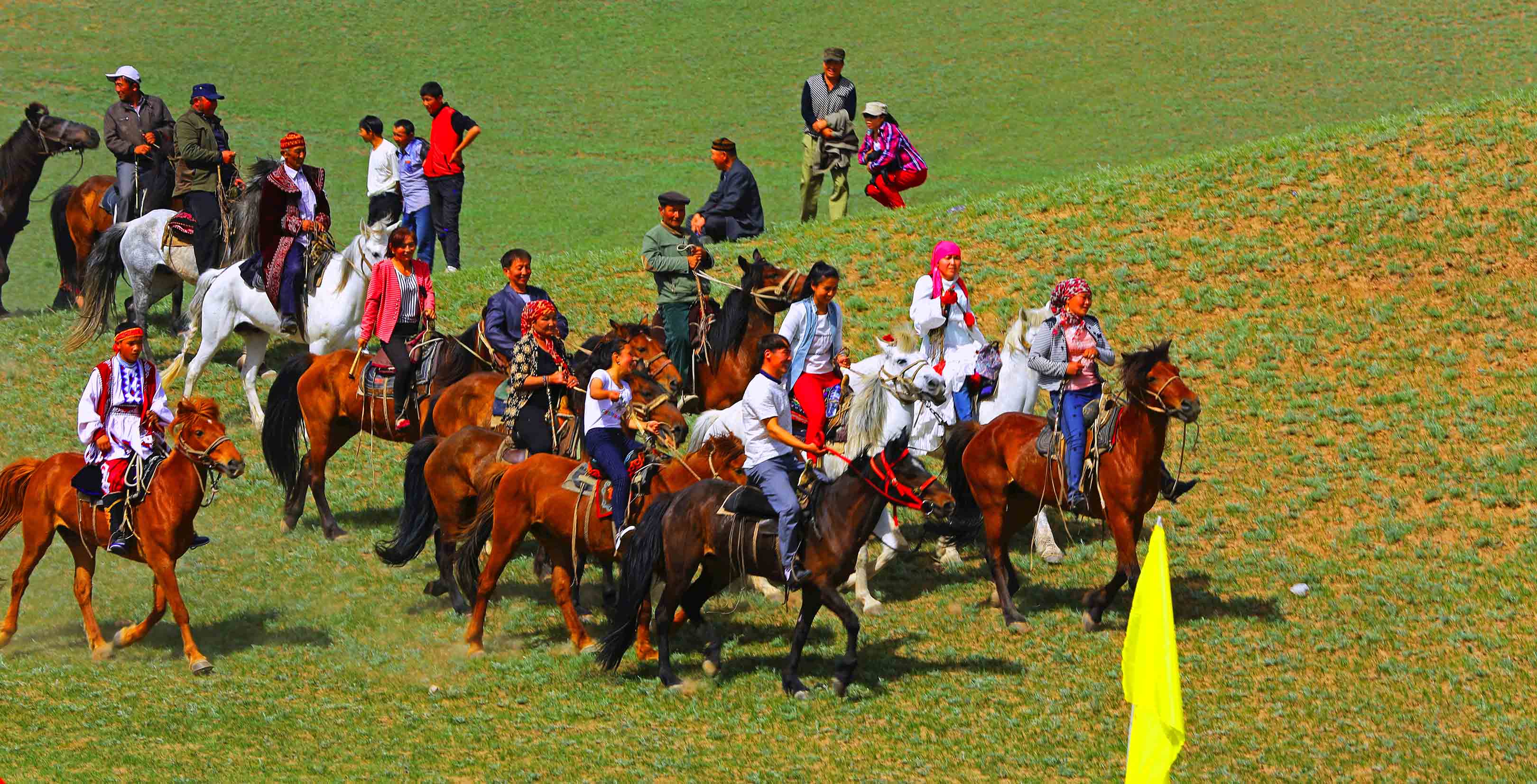 ����������