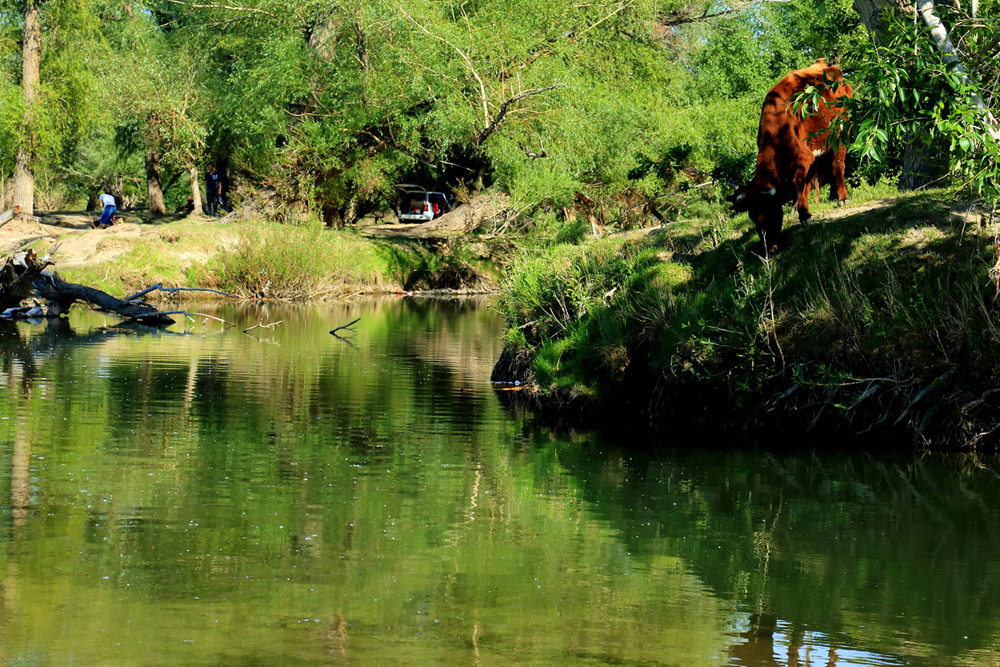 ���ҰȤ (9).jpg