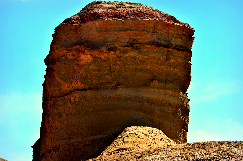 ����     ������