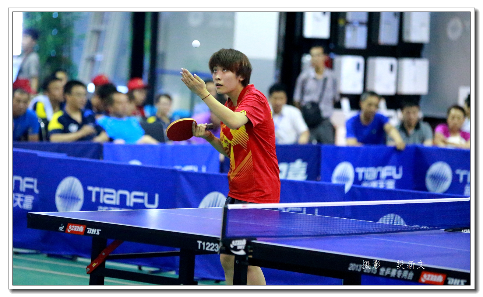 ������ɣ�ƹ���� (9).jpg