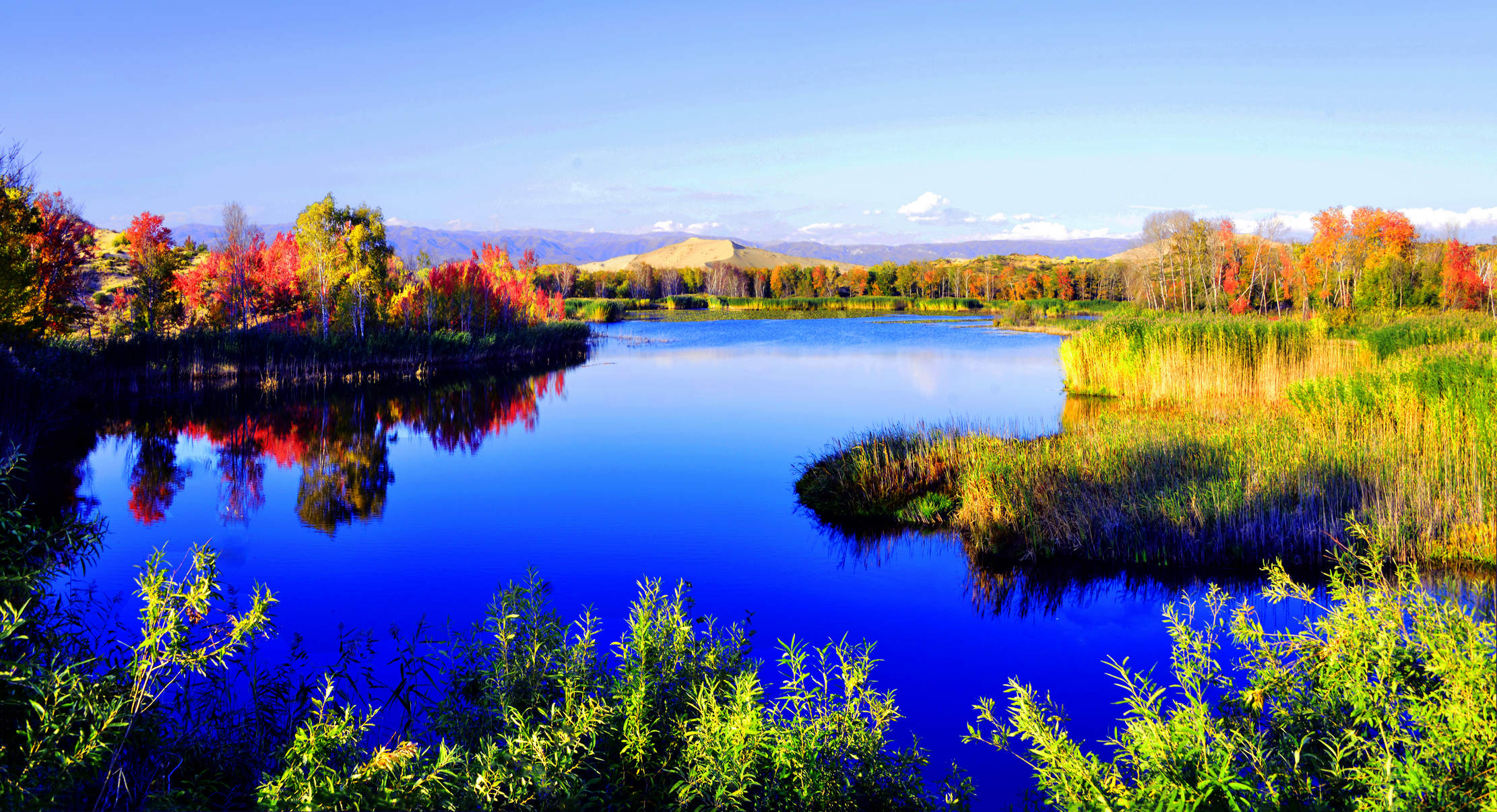 δ����_ȫ��ͼ1 (6).jpg