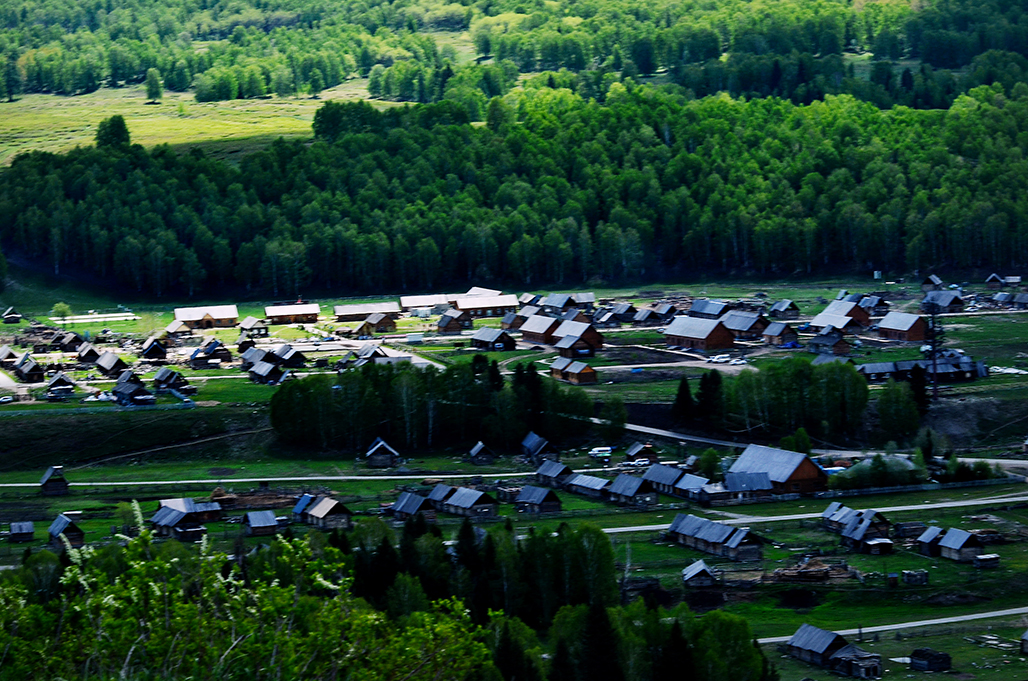 С��     ������