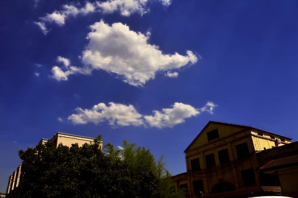 20120613��Ӱ (21).jpg