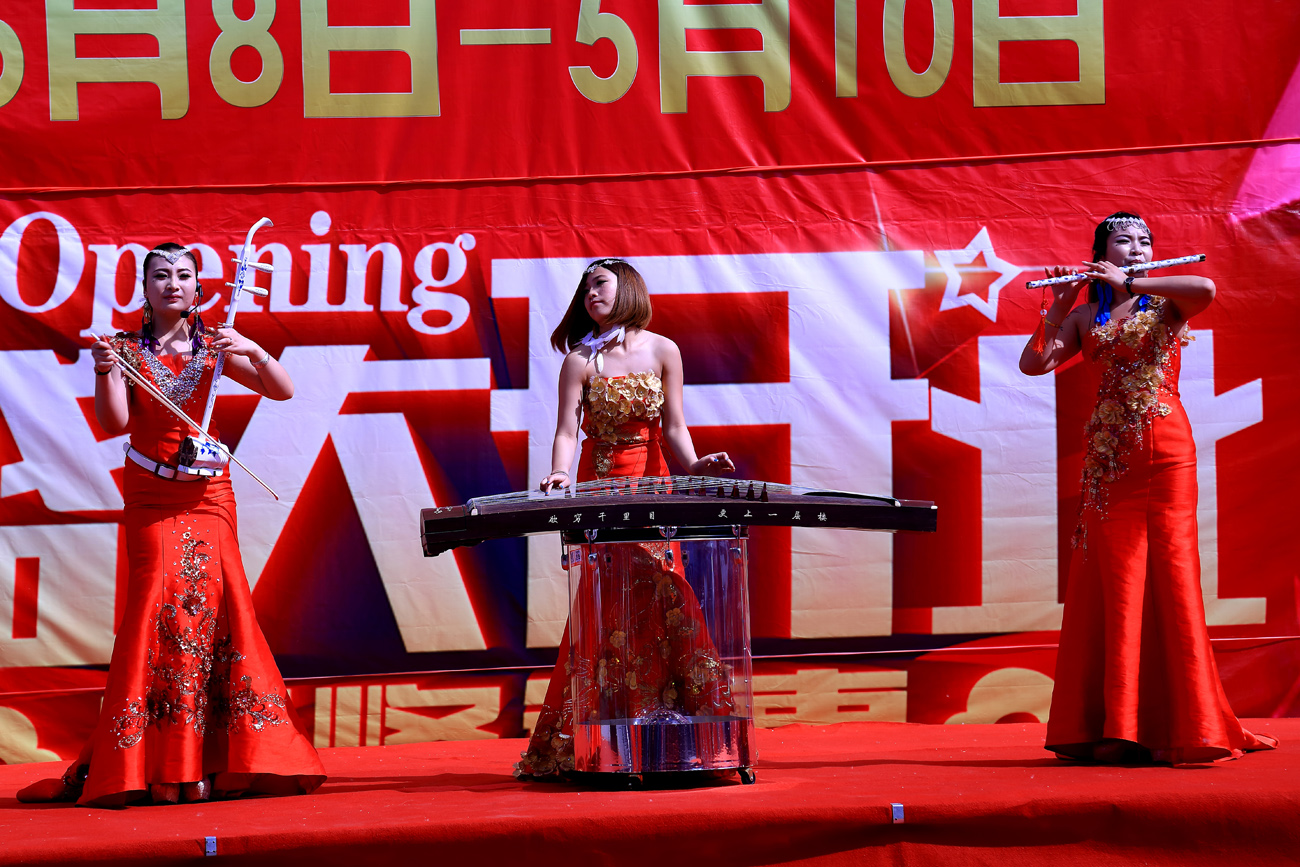 ��ͷ�ݳ� (4).JPG