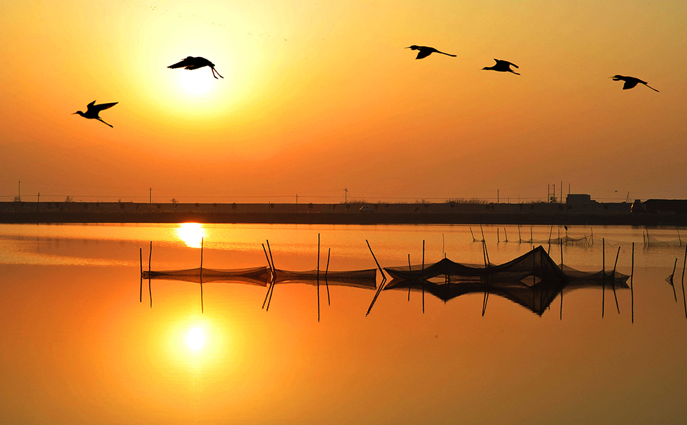 �˳����κ�������̲�Ե�1��Ӱ �ŷ� .jpg