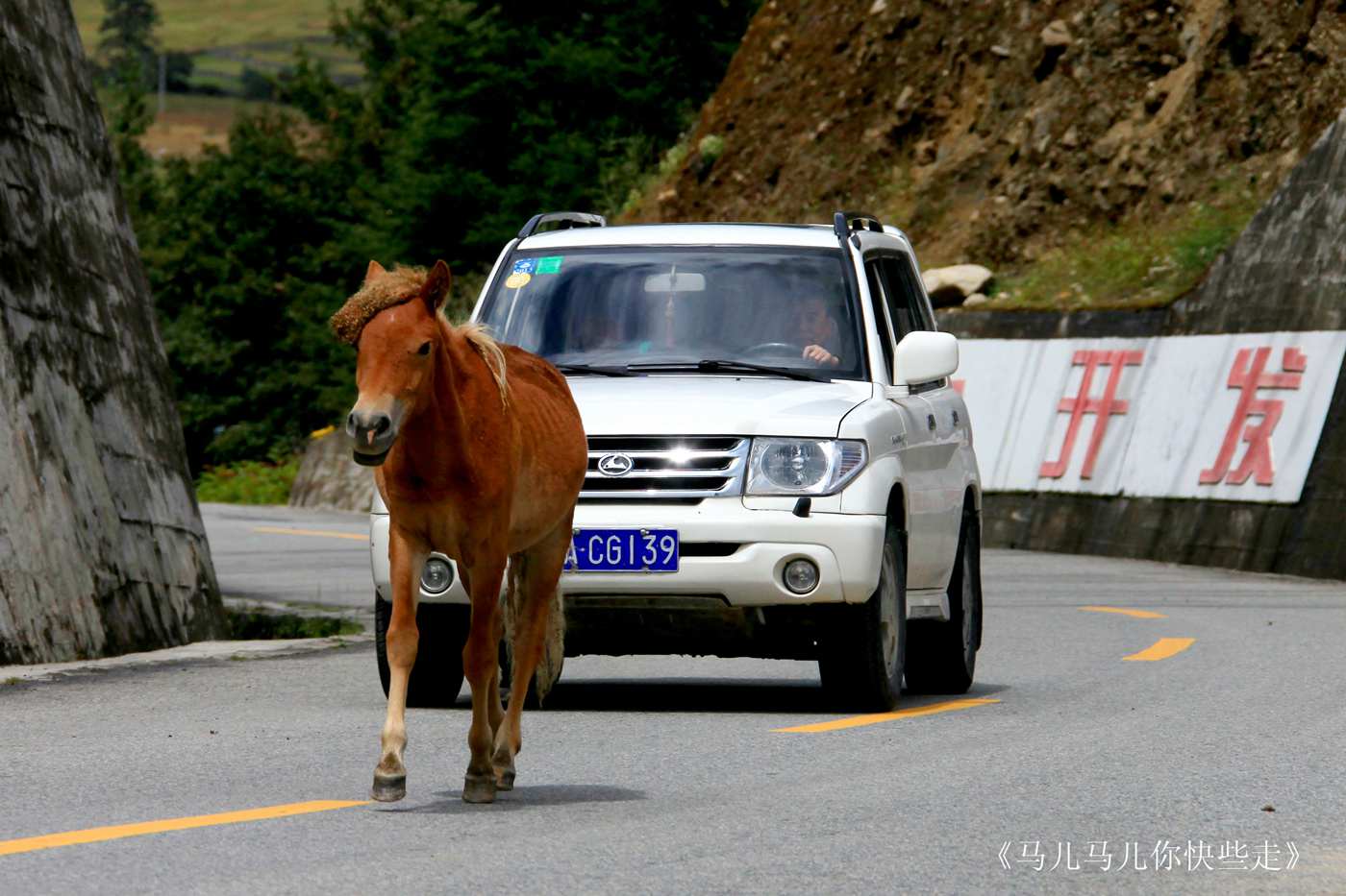 4. ����ҲҪ���Ŵ�.jpg