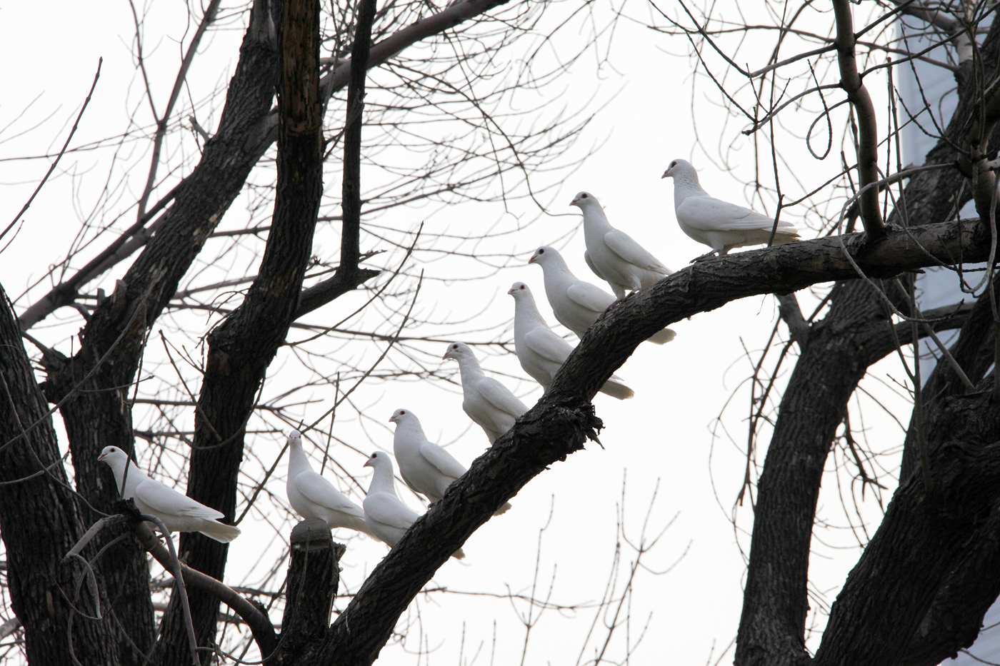 6. ���г���.jpg