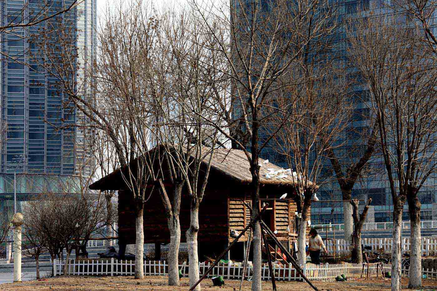 7. ���������.jpg