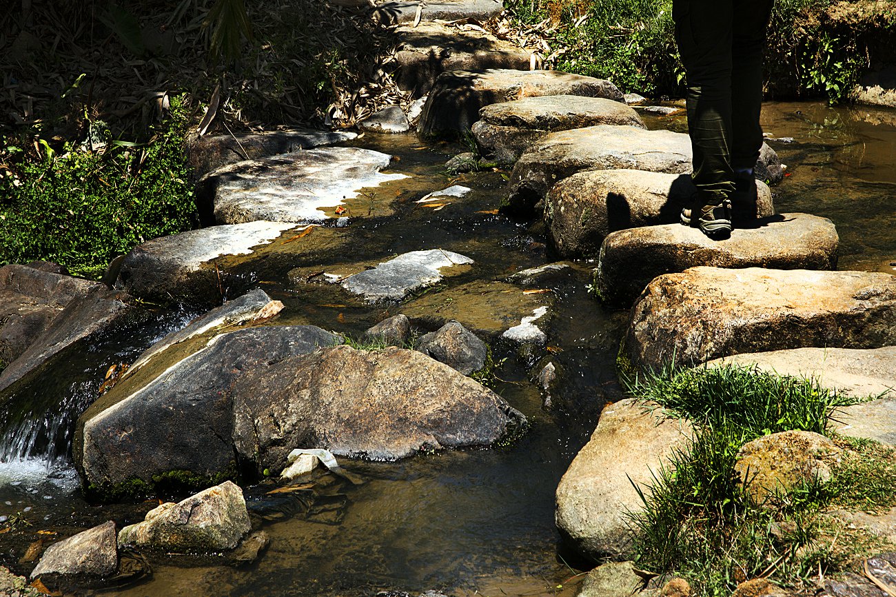 ���Ź�2 (11).jpg