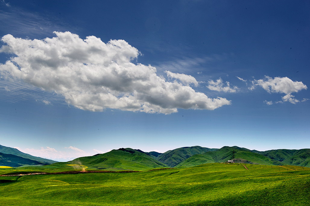 �����µĲ�ԭ