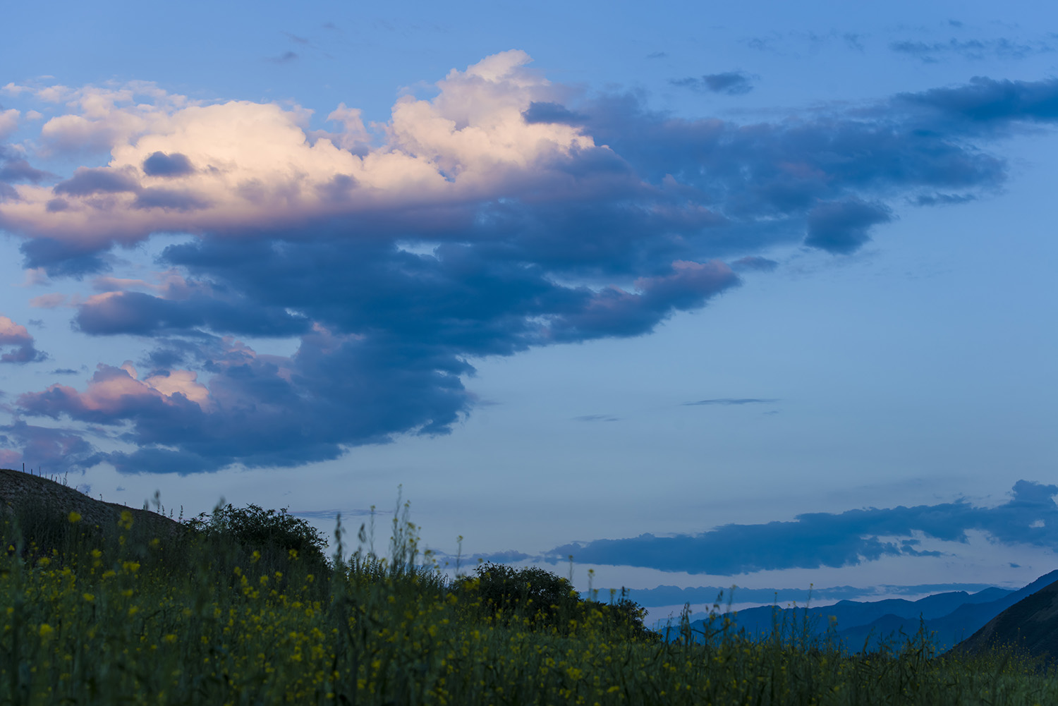 ��ɽ�����ż������