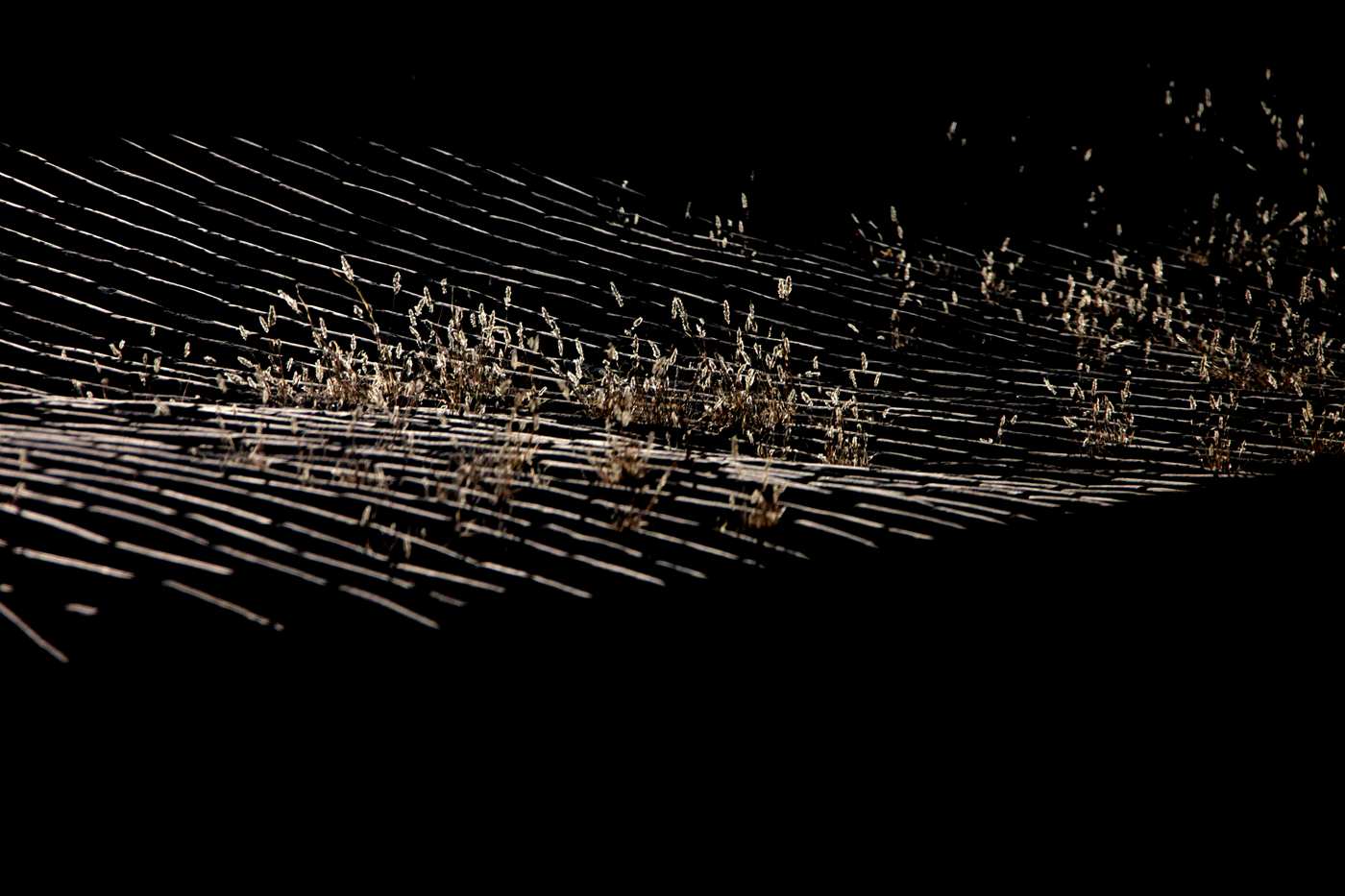 11. ���϶���.jpg