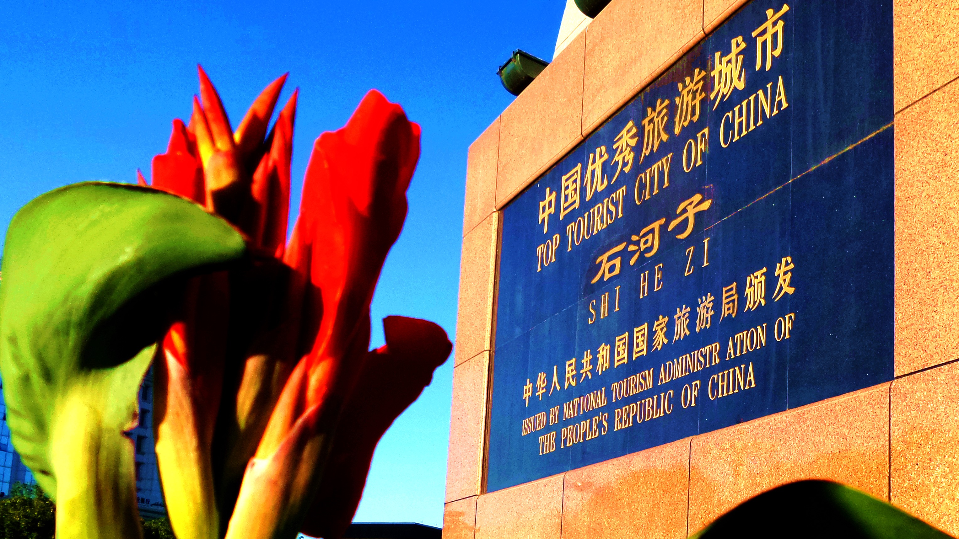 20150706_202222 (2).jpg