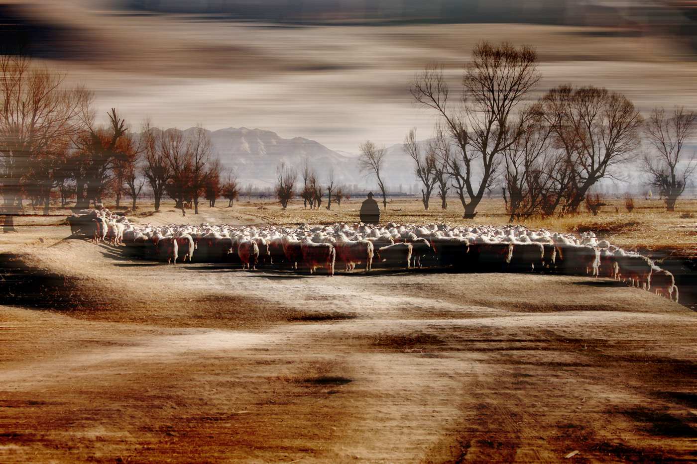 13. Ϧ�������.jpg