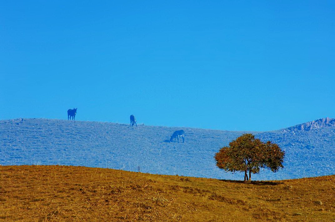 �����þ�  ��Ӱ������.JPG