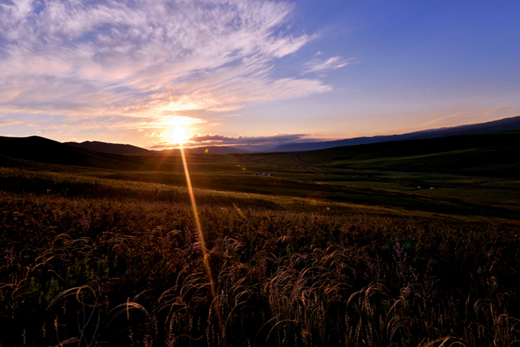 ����� (3).jpg