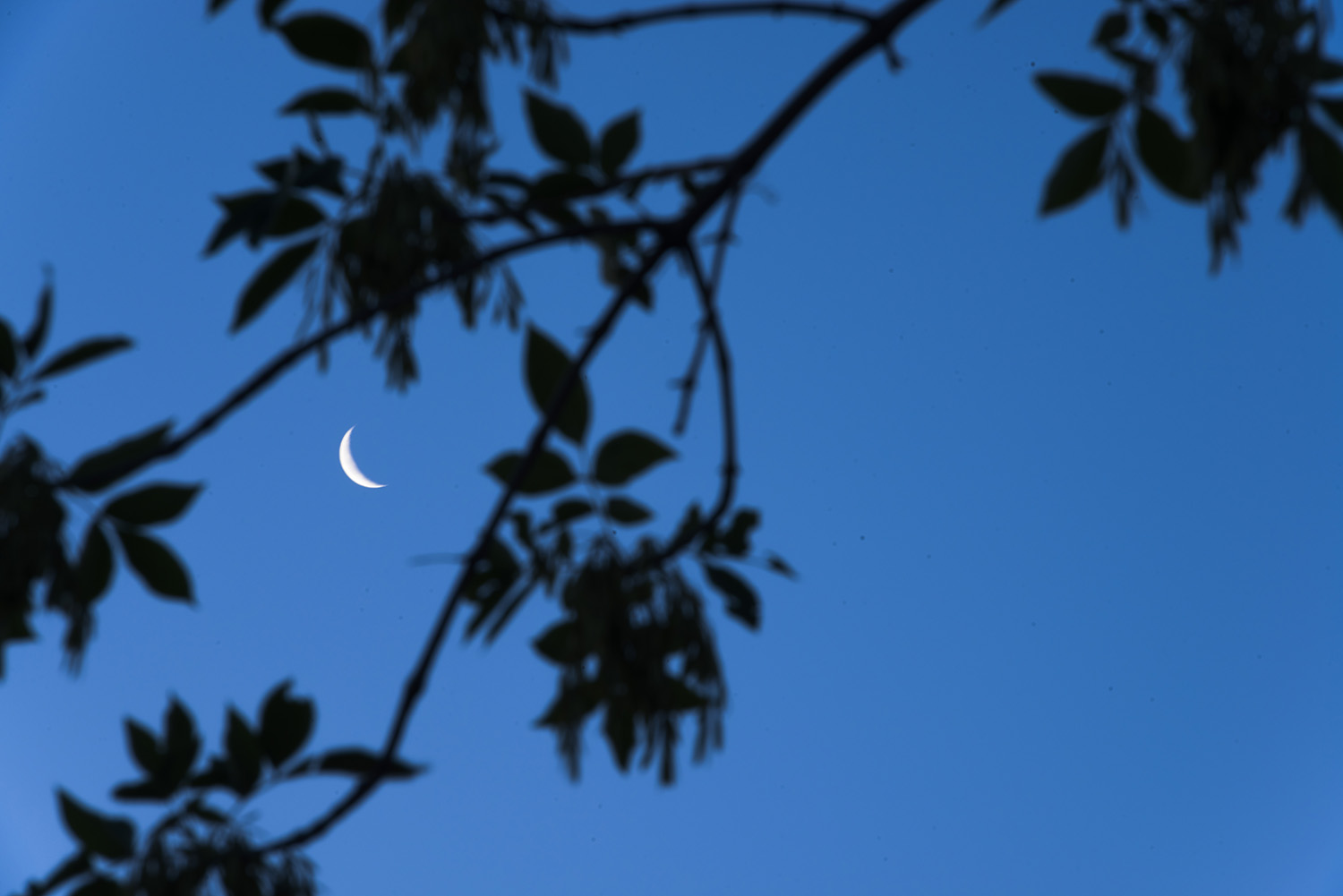 �����˼��������