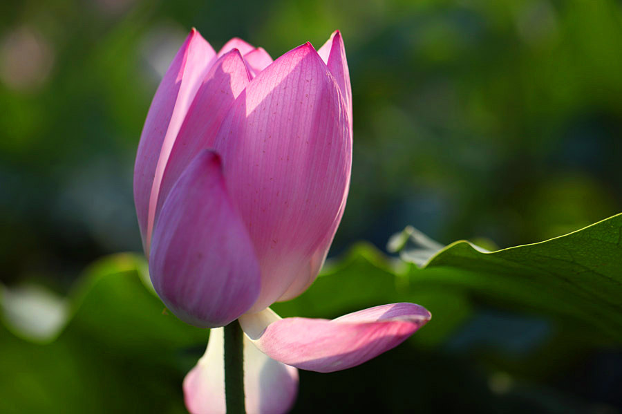 IMG_2013 (101)_����.jpg