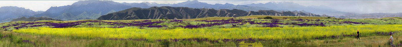 QQAA7238 Panorama.jpg