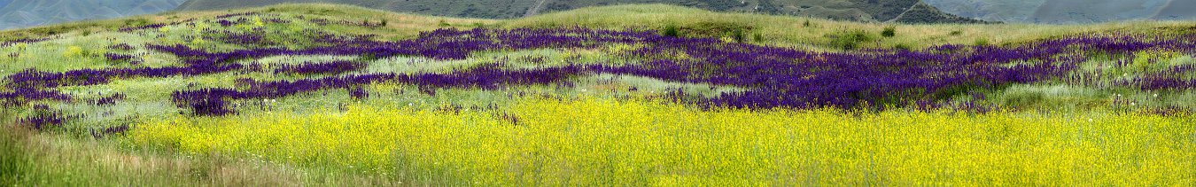 QQAA7284 Panorama.jpg