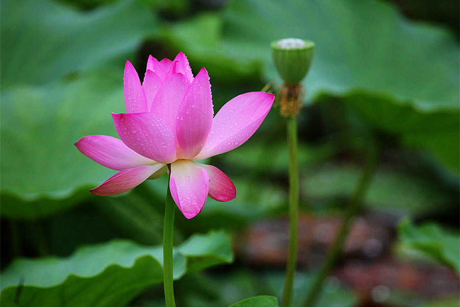 IMG_������ (50)_����.jpg