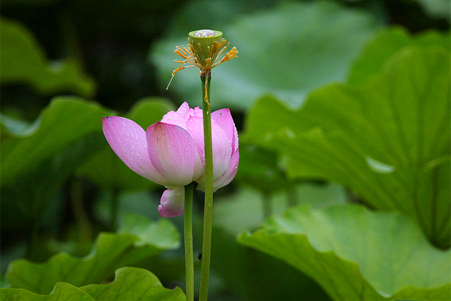 IMG_������ (55)_����.jpg