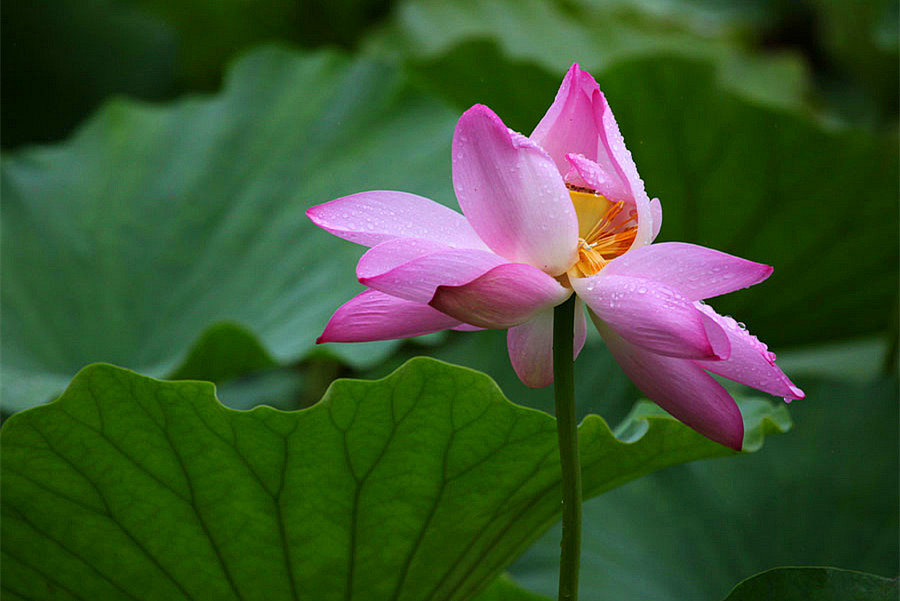 IMG_������ (59)_����.jpg