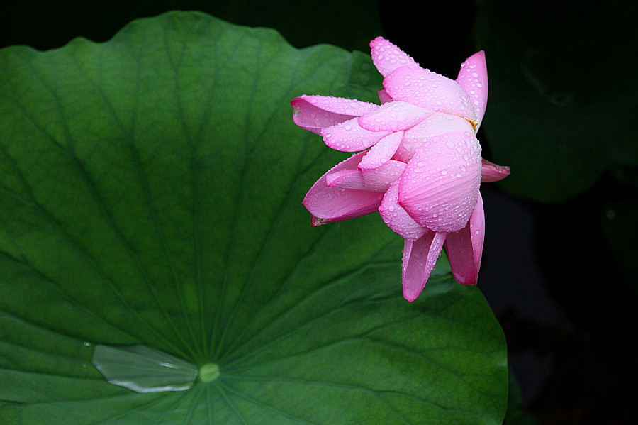 IMG_��� (90).jpg