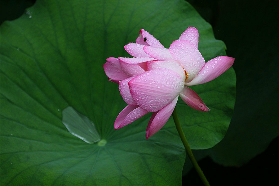 IMG_��� (91).jpg