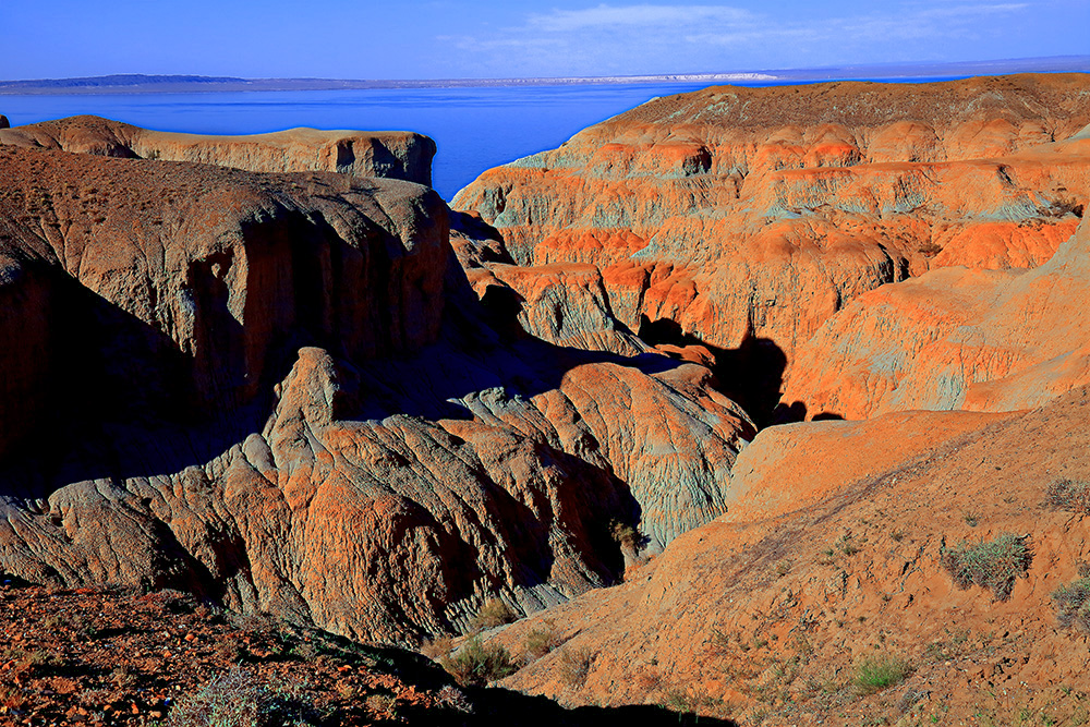 ����С�� (1).jpg