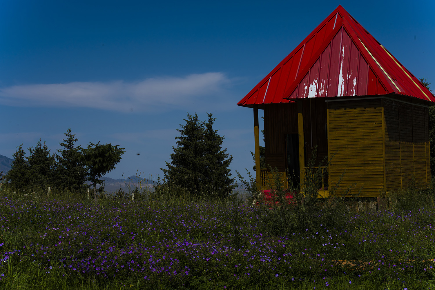 ¹��������