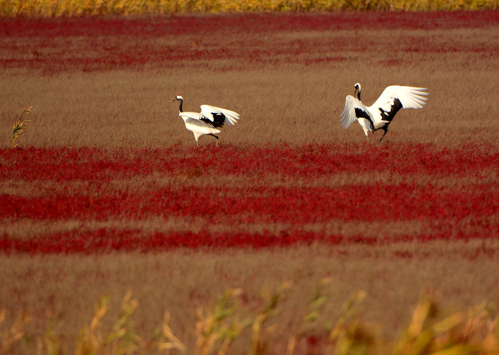 5DSC_2800.jpg  4444.jpg