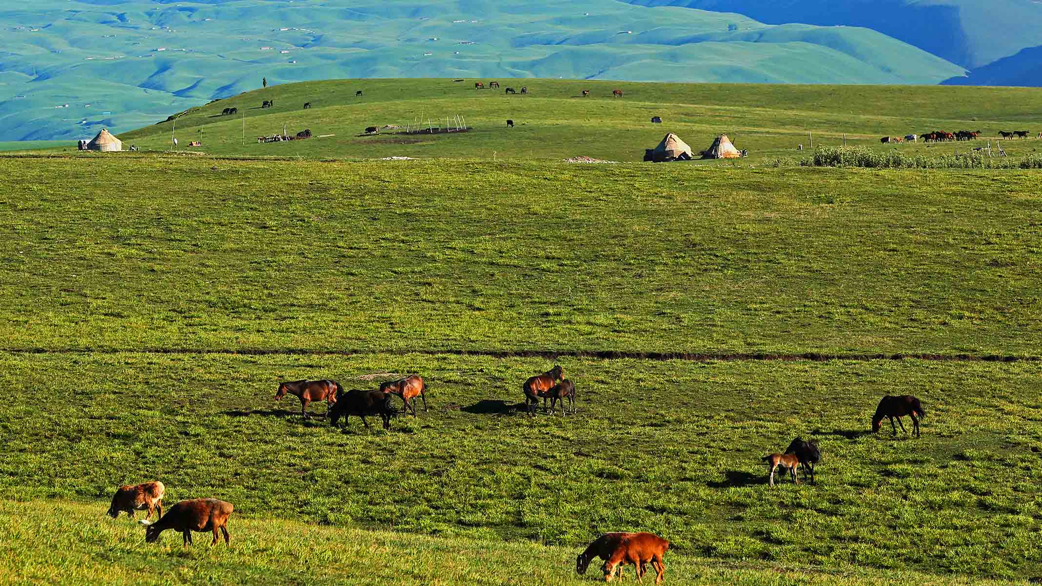 ���ɷ���