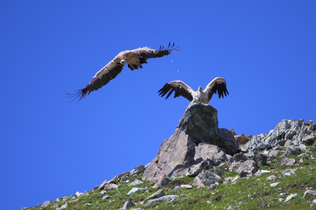 ��ɽأ�� 4.jpg